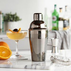 TRUE Cocktail Shaker 18 Oz Stainless Steel in Gunmetal With Lid & Strain…